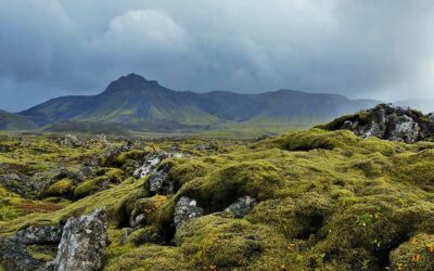 Weit hinter den Wortbergen